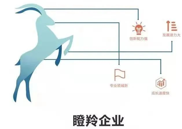 图片48.png